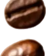 Coffee bean